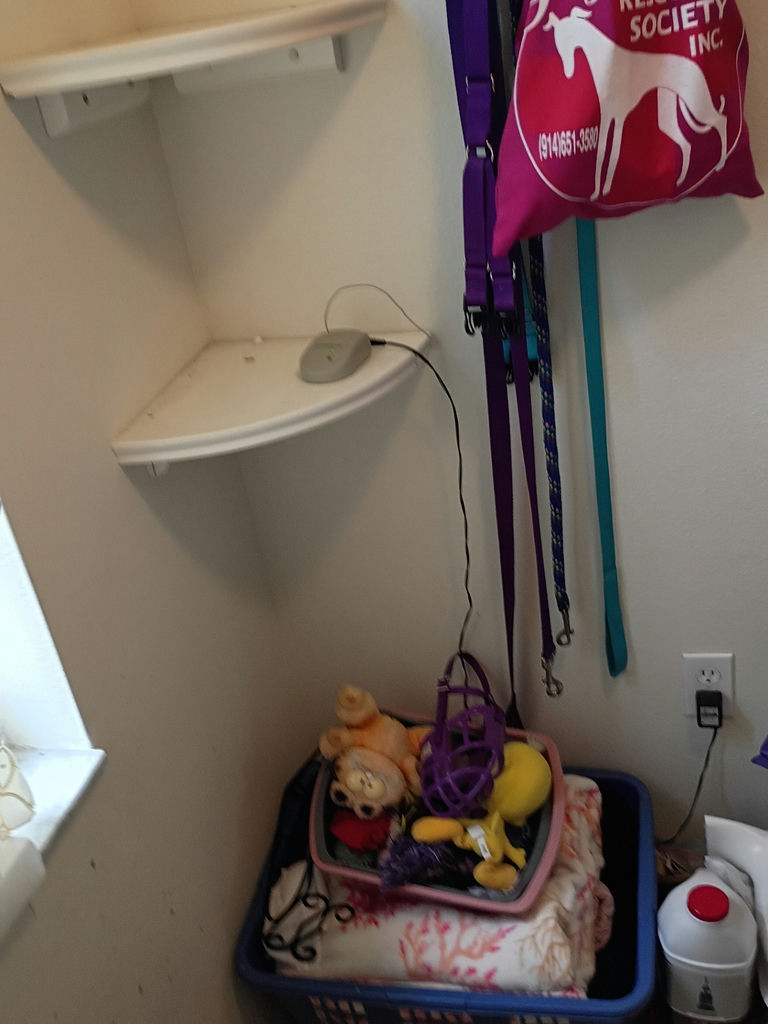 Pet Supplies Assortment - image 1 of 7