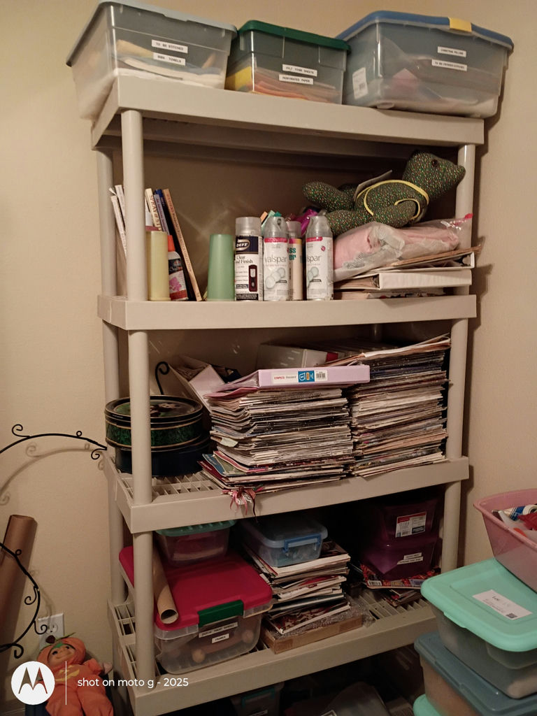 Plastic Storage Shelving Unit - image 1 of 1