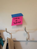 Pet Supplies Assortment - thumbnail 2 of 7