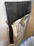 Pet Crate, Litter Boxes, Storage Bin, and Pet Supplies - thumbnail 2 of 6