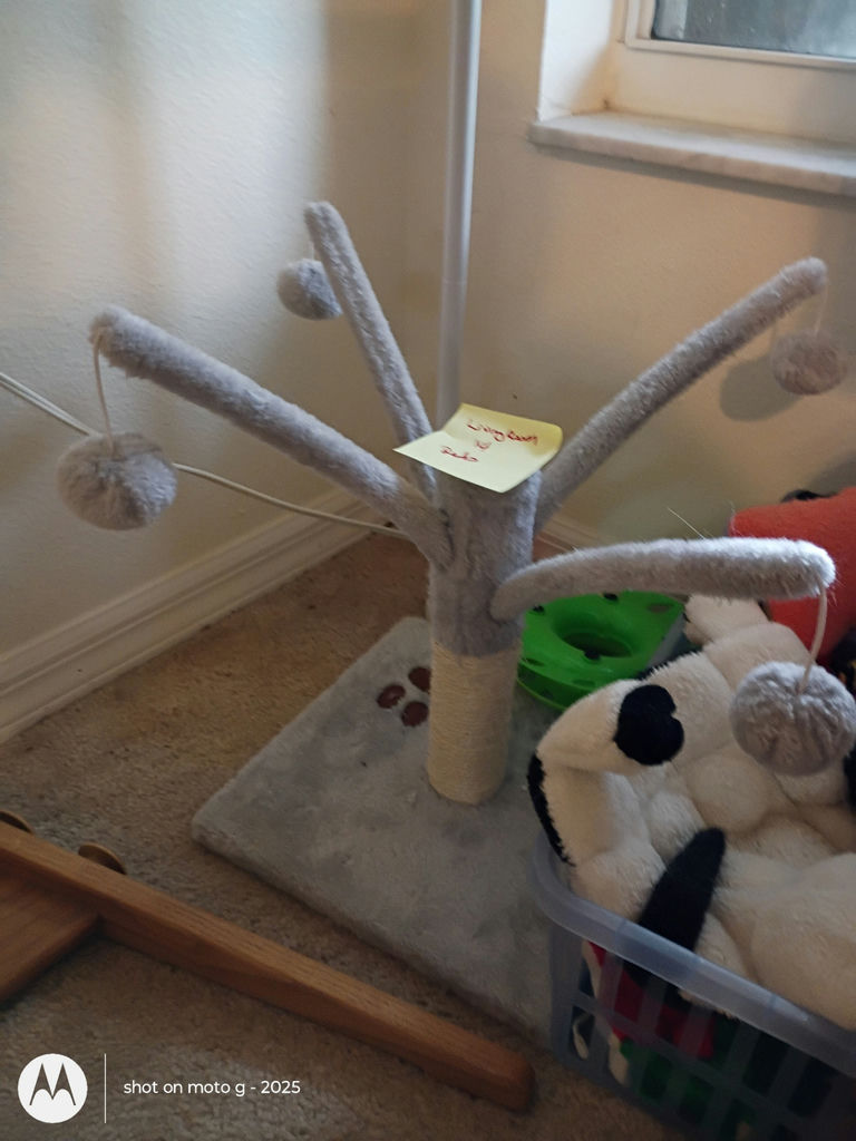 Cat Toys and Scratching Post Set - image 2 of 4