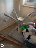Cat Toys and Scratching Post Set - thumbnail 2 of 4