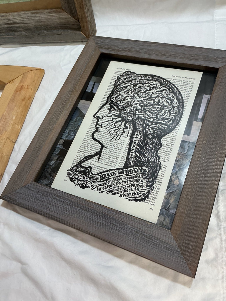 Framed Art Collection: Hawk, Brain Diagram, Botanical Print, and Abstract Green Piece - image 3 of 6