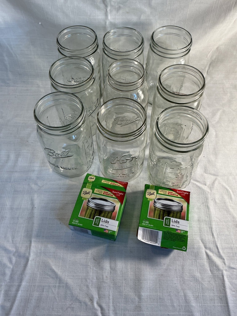 Large Canning Lot - image 3 of 8