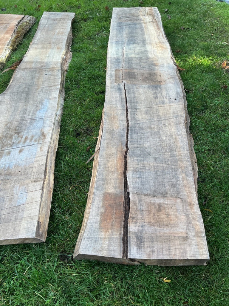 Wide live edge rough-cut Maple Wood slabs - image 4 of 5
