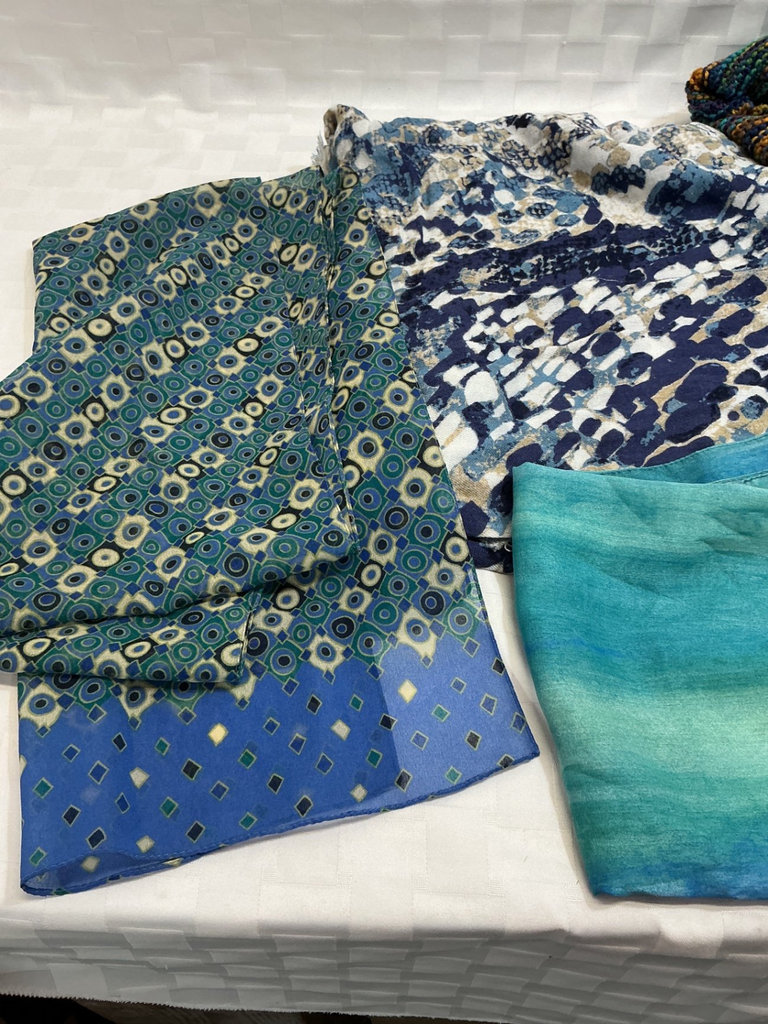 Assorted Scarves and Wraps - image 4 of 6