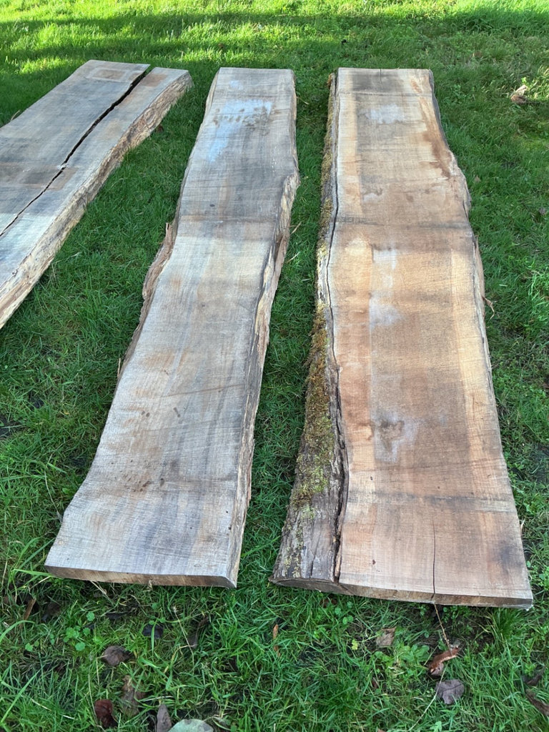 Wide live edge rough-cut Maple Wood slabs - image 1 of 5