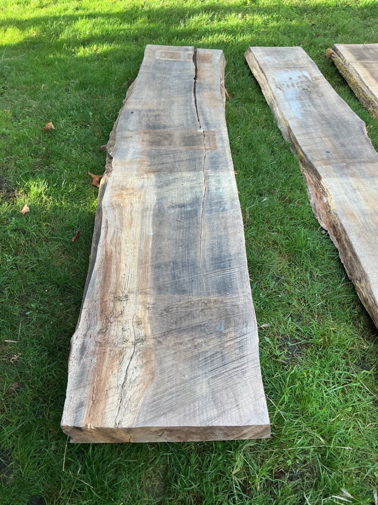 Wide live edge rough-cut Maple Wood slabs - image 3 of 5