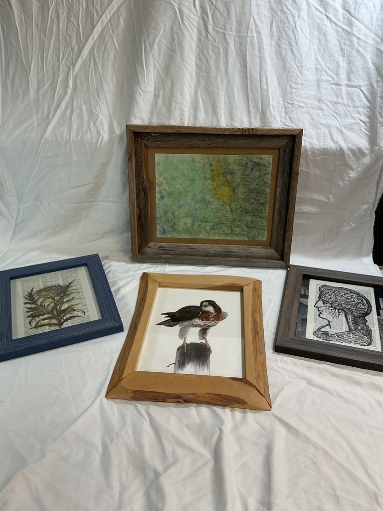 Framed Art Collection: Hawk, Brain Diagram, Botanical Print, and Abstract Green Piece - image 1 of 6