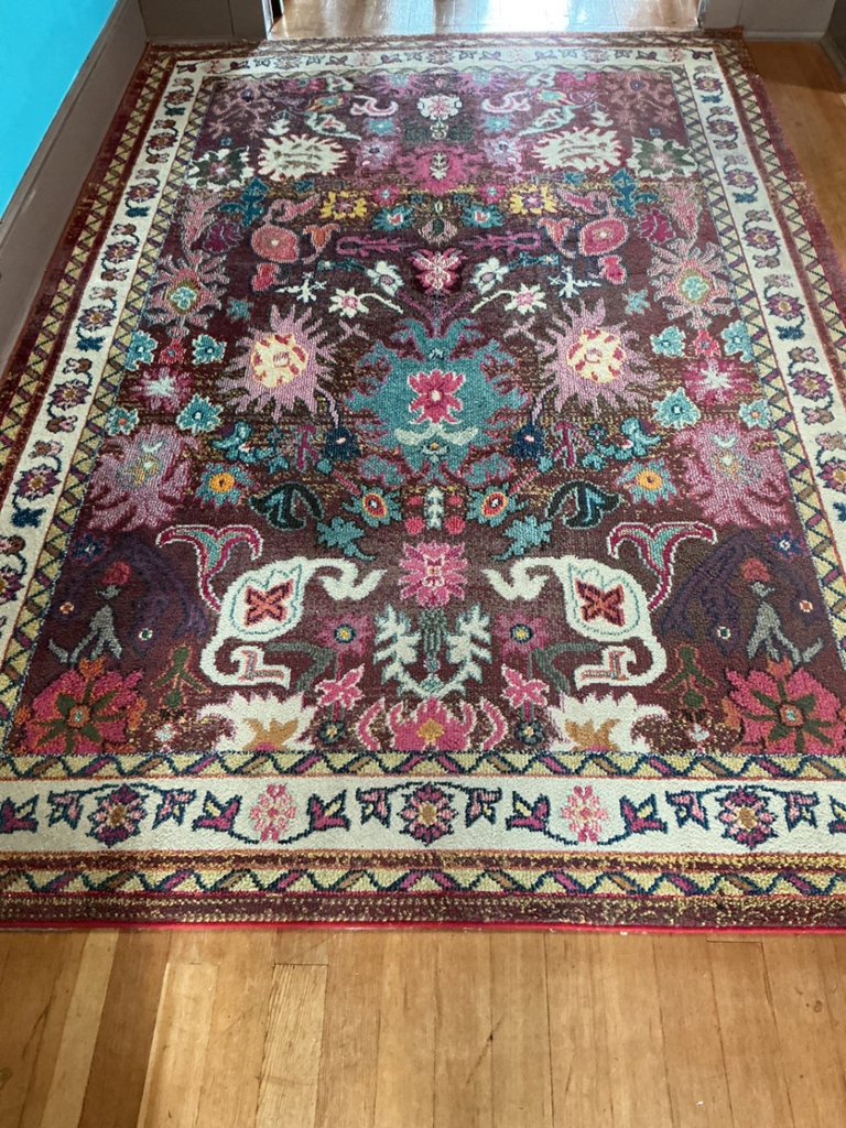 Palazzo Collection Oriental Area Rug - image 1 of 6