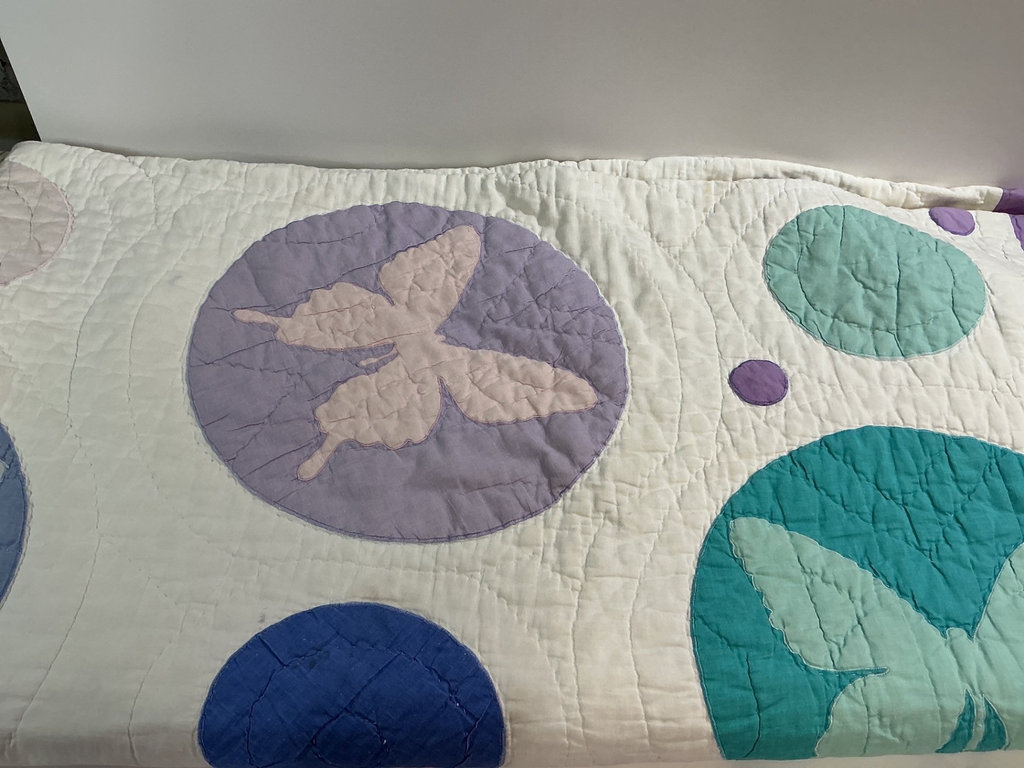 Assorted Quilted Blankets and Throws - image 3 of 6