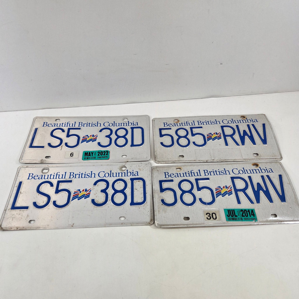 BC License Plate Pairs - image 1 of 2