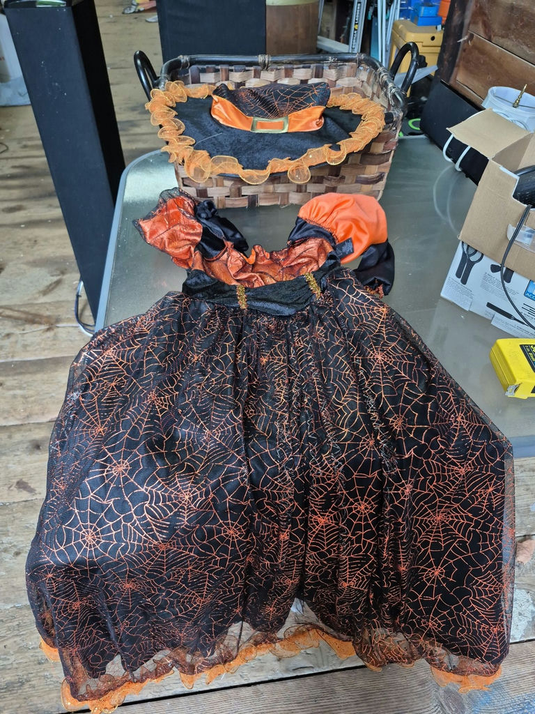 Assorted Halloween Decorative Items - image 14 of 15