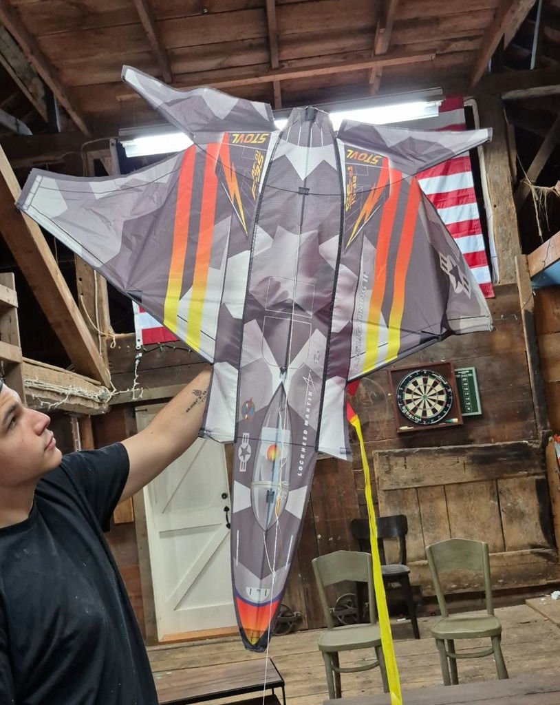 Three Assorted Decorative Kites - image 1 of 3