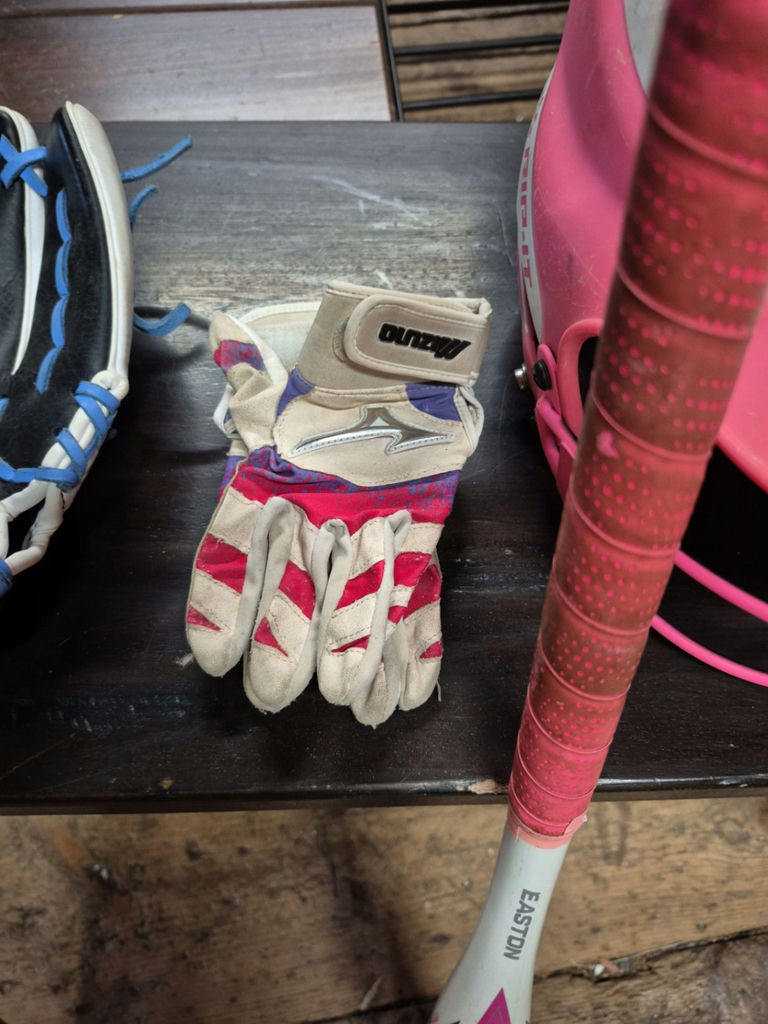 Baseball equipment set with bats, gloves, and helmets - image 4 of 6