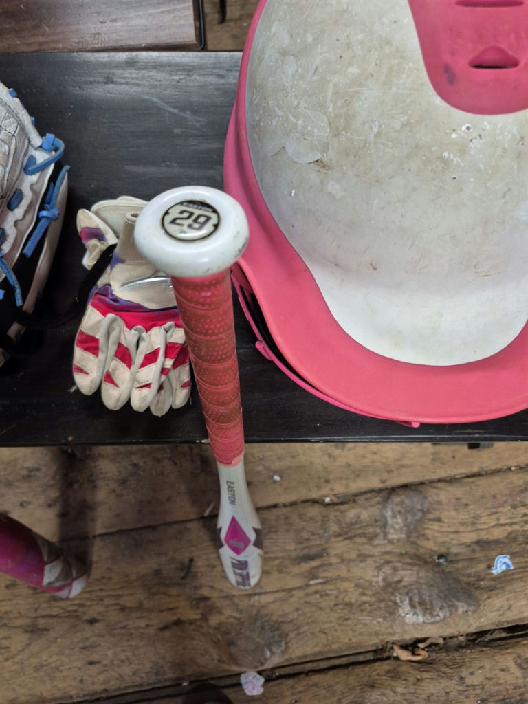 Baseball equipment set with bats, gloves, and helmets - image 5 of 6