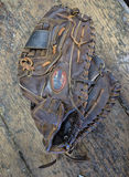 Three Baseball Gloves from Wilson, Rawlings, and Nokona - thumbnail 3 of 4