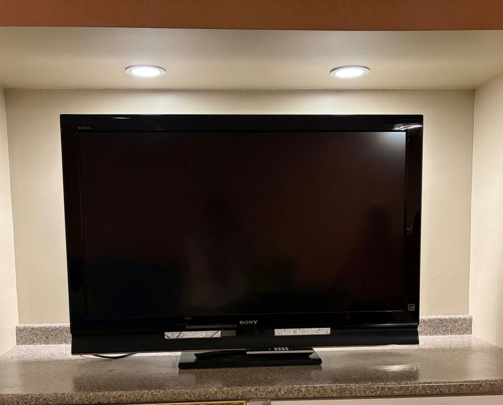 48” Sony Bravia flat-screen television - image 1 of 1