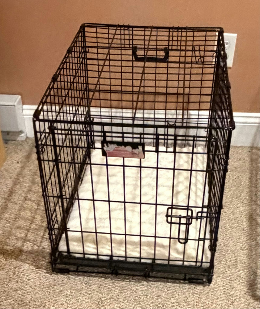 Medium Dog Crate 2 of 2 - image 1 of 1
