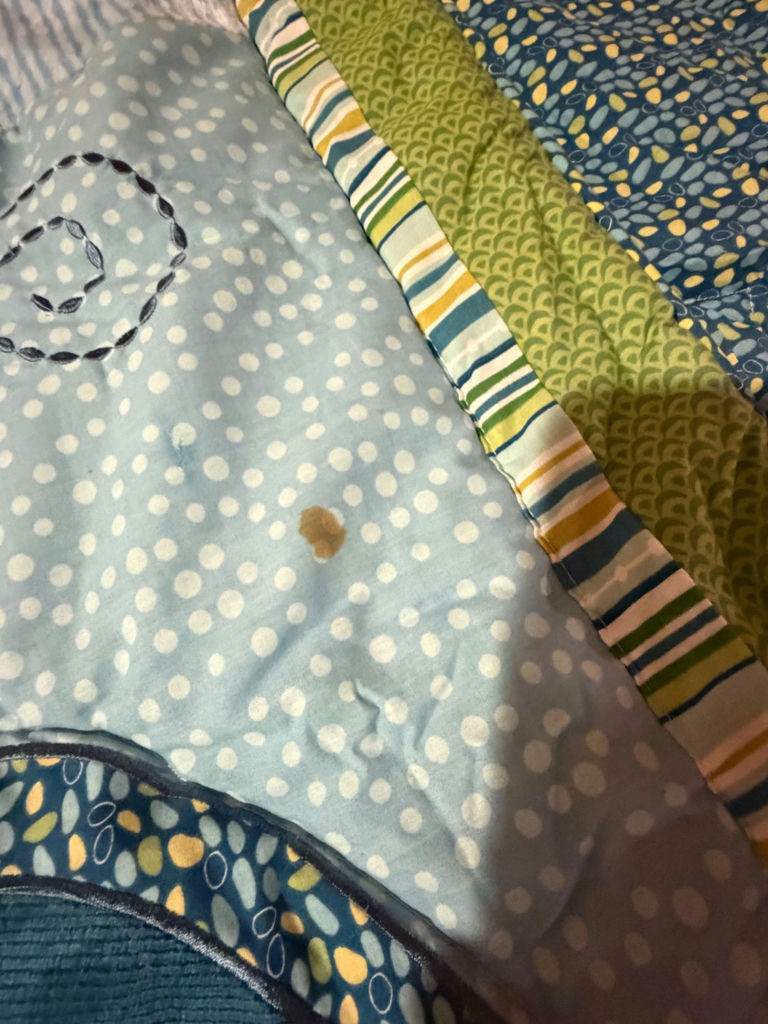 Baby Quilt for Crib Turtle Theme - image 3 of 3