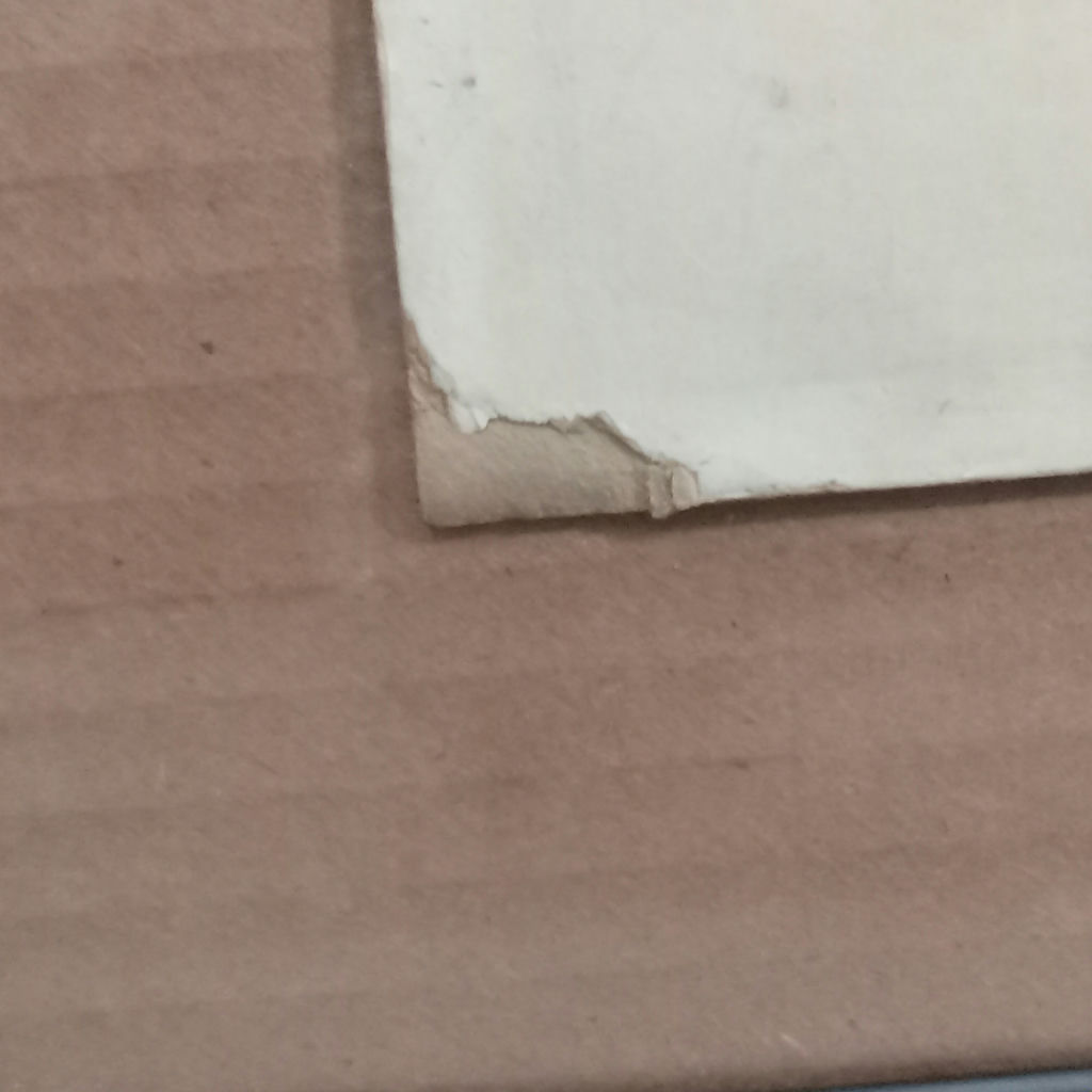 PAL Pastel on Board - image 7 of 9