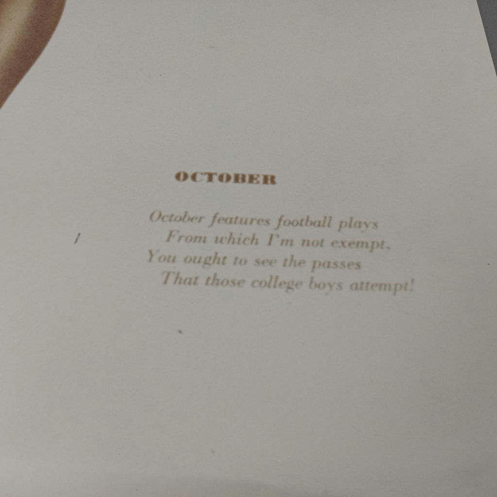 Varga Calendar Girls - image 4 of 21