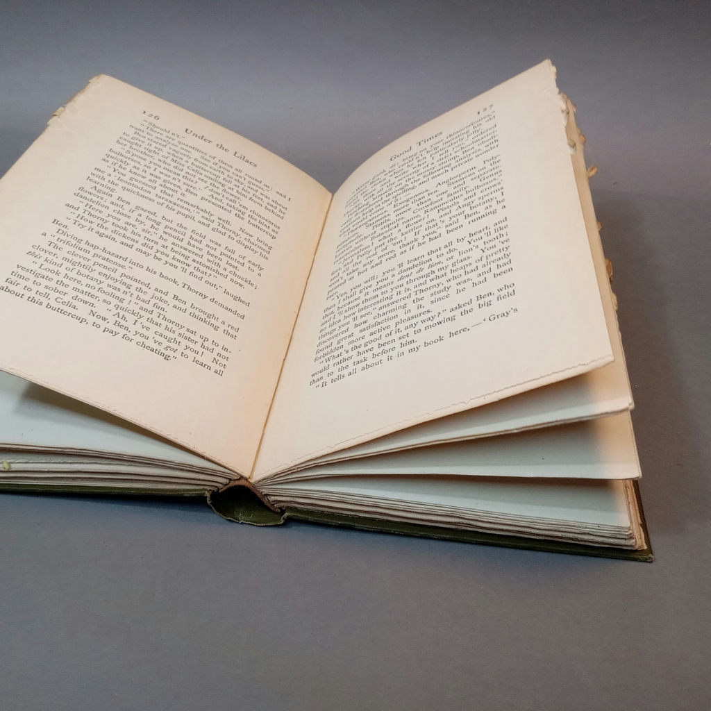 Louisa May Alcott Novels, 1906/ 1907 Editions - image 15 of 20