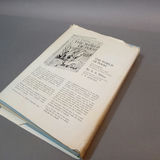 First Edition Winnie the Pooh & More - thumbnail 27 of 27