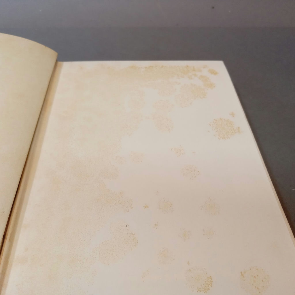 Louisa May Alcott Novels, 1908 Editions - image 6 of 23