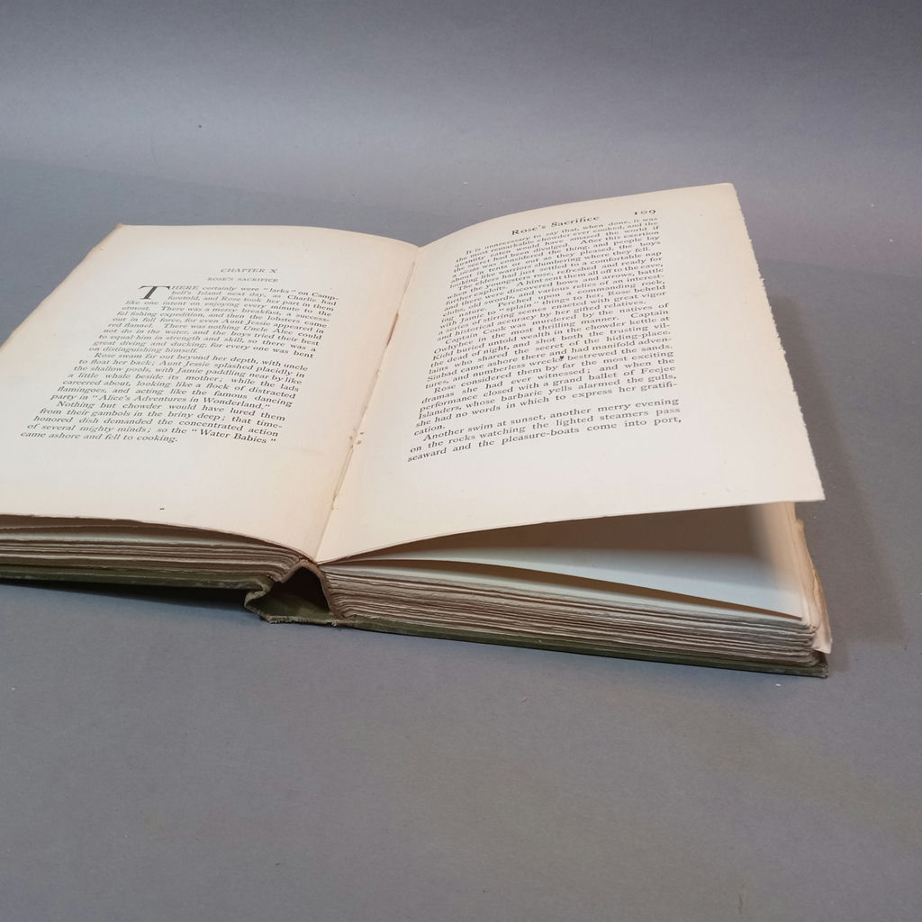 Louisa May Alcott Novels, 1906/1907 Editions - image 24 of 26