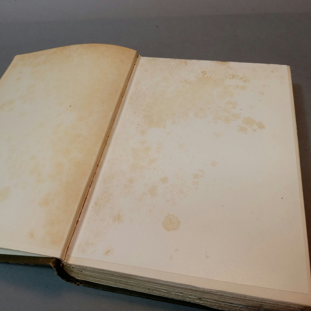 Louisa May Alcott Novels, 1906/ 1907 Editions - image 5 of 20