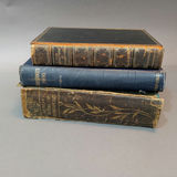 Antique English Poetry & Prose / Brass Bookends - thumbnail 1 of 24