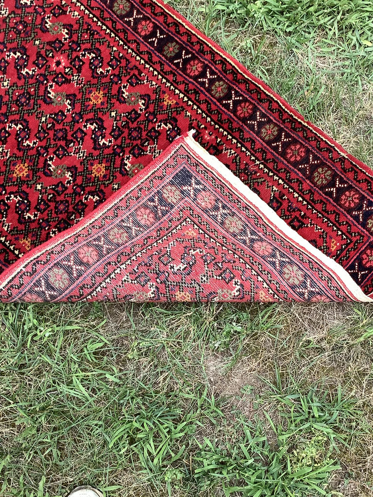 Oriental Runner - image 7 of 7