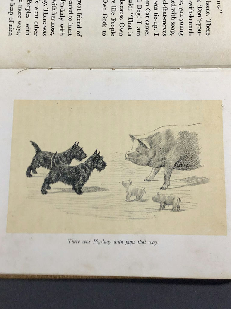 For The Scottie Lover - image 11 of 22