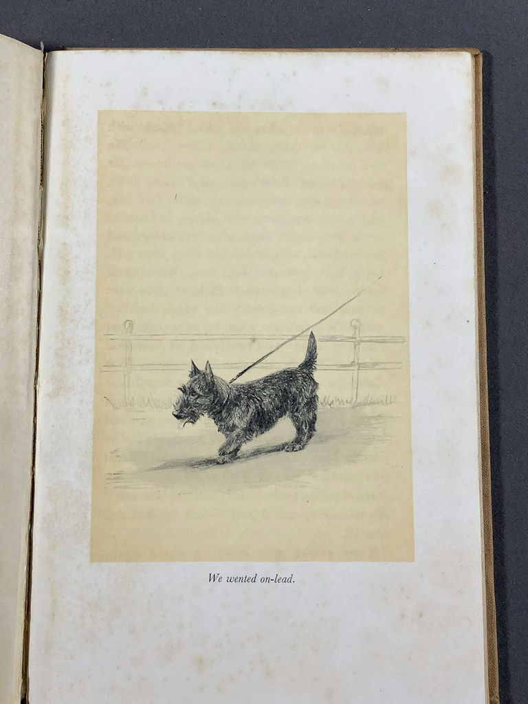 For The Scottie Lover - image 19 of 22