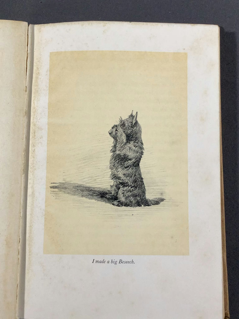 For The Scottie Lover - image 13 of 22