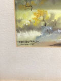 Vintage White Buffalo Framed Art - thumbnail 5 of 6