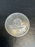 1974 Commemorative Silver Coin (20+dwt) - thumbnail 2 of 4