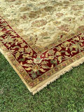 Oriental Area Rug - thumbnail 2 of 6