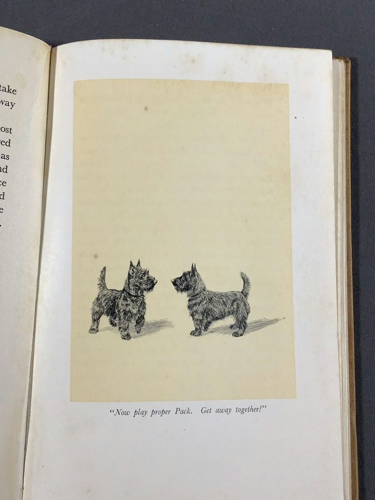 For The Scottie Lover - image 18 of 22