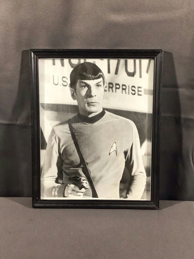 Resistance is Futile, Embrace the Star Trek - image 11 of 16