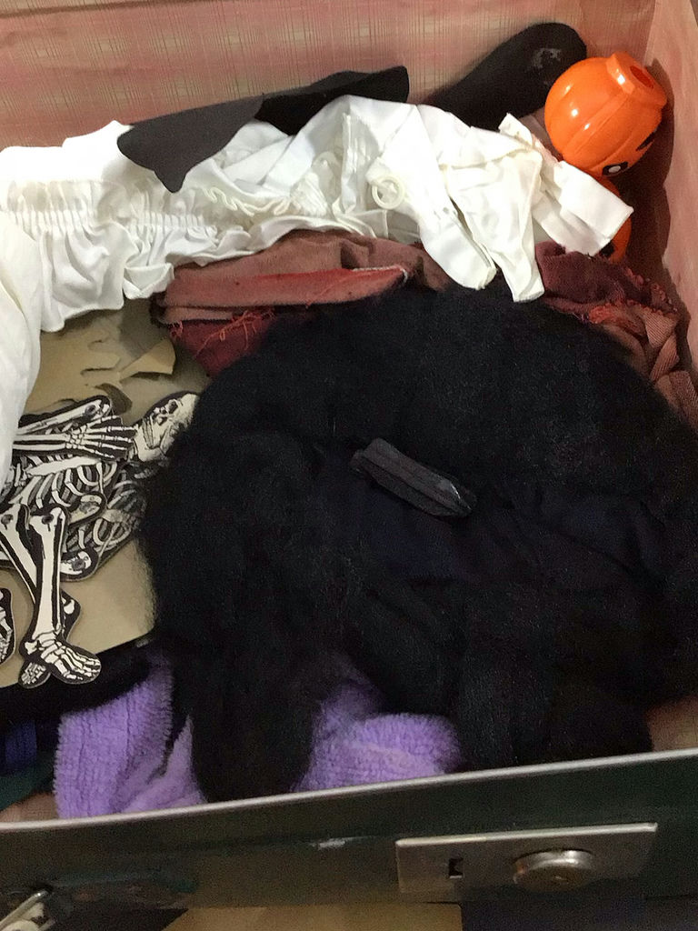 Vintage Halloween Costume Box - image 17 of 21