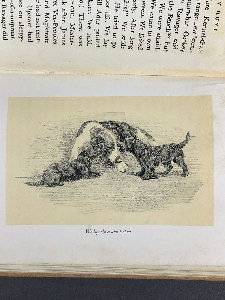 For The Scottie Lover - image 16 of 22