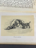 For The Scottie Lover - thumbnail 16 of 22