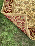Oriental Area Rug - thumbnail 6 of 6