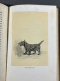 For The Scottie Lover - thumbnail 17 of 22