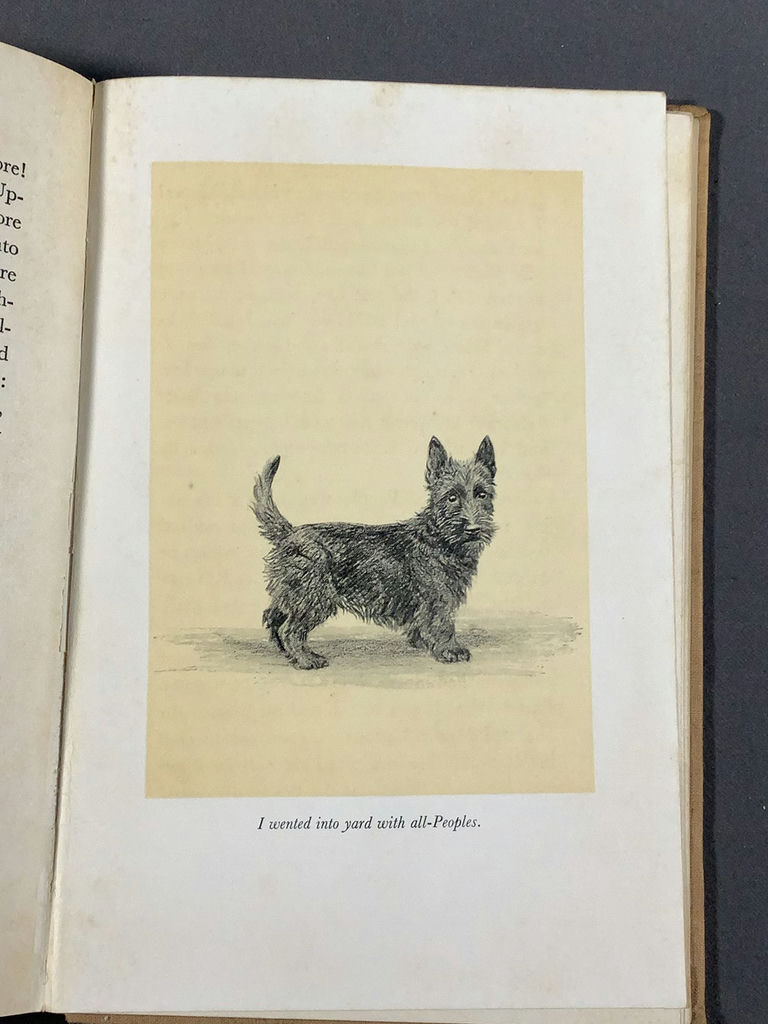 For The Scottie Lover - image 21 of 22