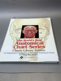 Intro to Anatomy - thumbnail 10 of 15