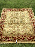 Oriental Area Rug - thumbnail 1 of 6