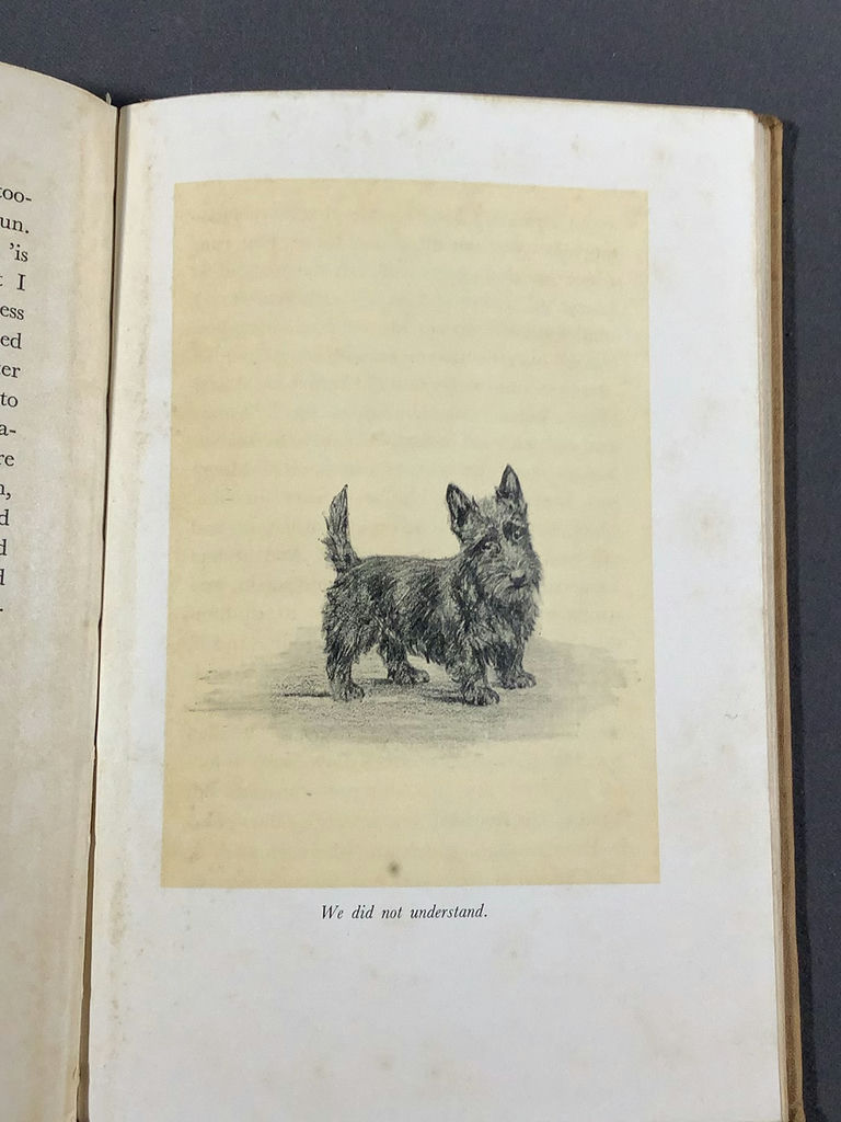 For The Scottie Lover - image 20 of 22